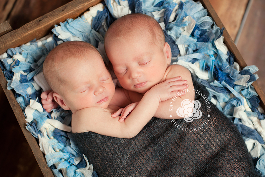 Cleveland twins newborn photographer