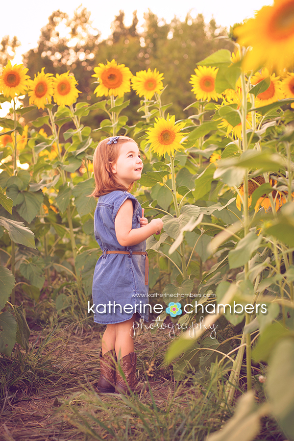www.katherinechambers.com, Katherine Chambers Photography, Cleveland Family Photographer (4)