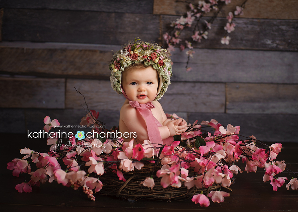 www.katherinechambers.com, Katherine Chambers Photography, Cleveland baby photographer (11)