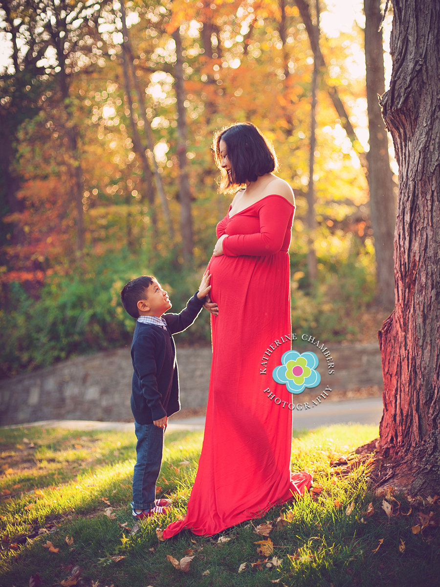 Cleveland, Ohio Maternity Photography, Cleveland Maternity photographer, 