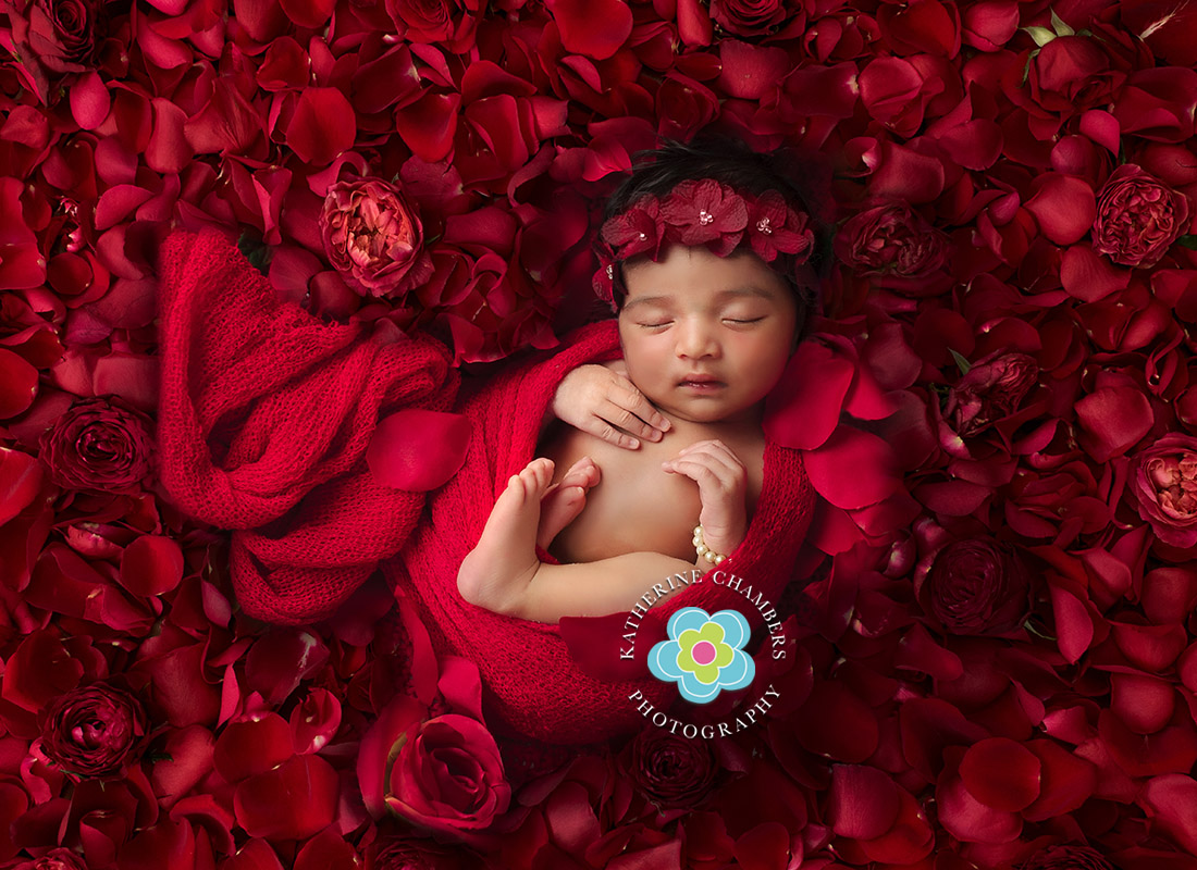 Hudson OH Newborn Photography | Cleveland Suburbs Newborn Photographer | Katherine Chambers Photography (2)