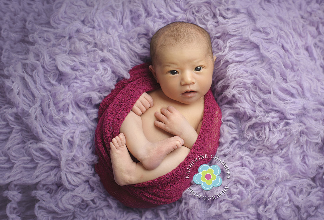 Cleveland Newborn Photography | Family Photographer in Cleveland | Avon Ohio Baby Photographer (3)