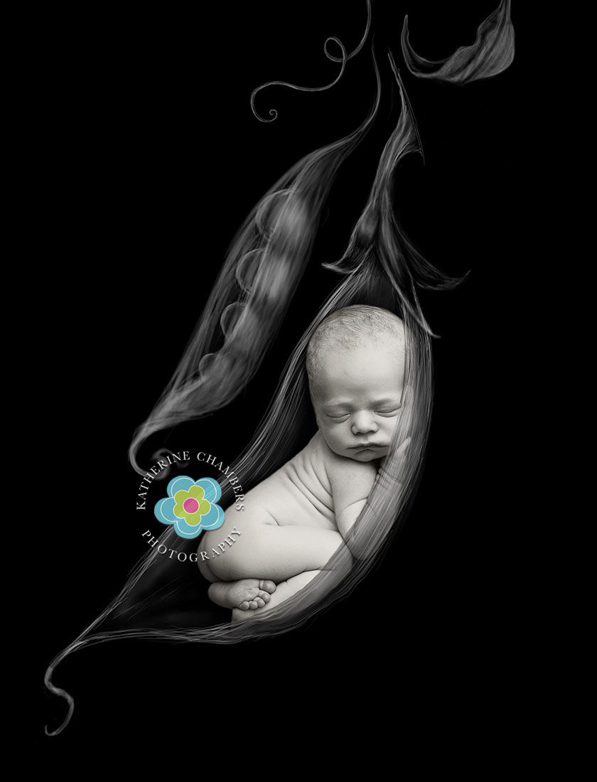 Westlake Newborn Photographer | Cleveland Newborn Photographer | Creative Black-and-White Newborn Photo