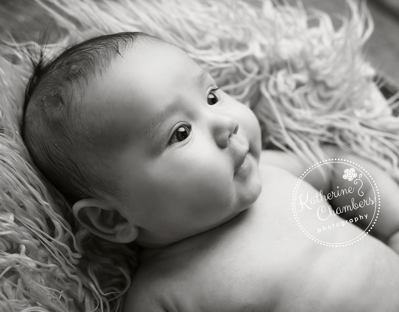 Black and White Baby Photography, Baby's First Year, Cleveland Baby Photography