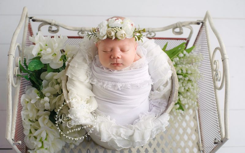 Newborn Photographer Cleveland, Floral Newborn Photography, Photography Studio