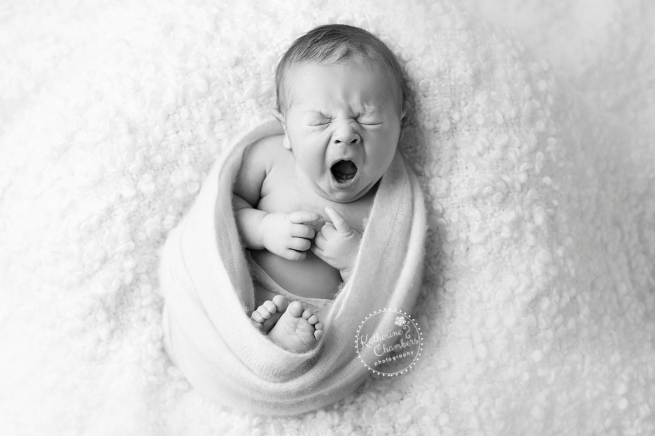 Avon Newborn Photography