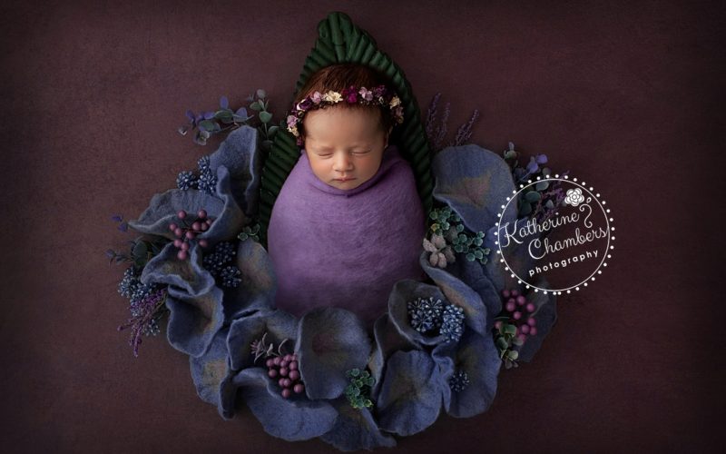 Creative Newborn Photography | Violet
