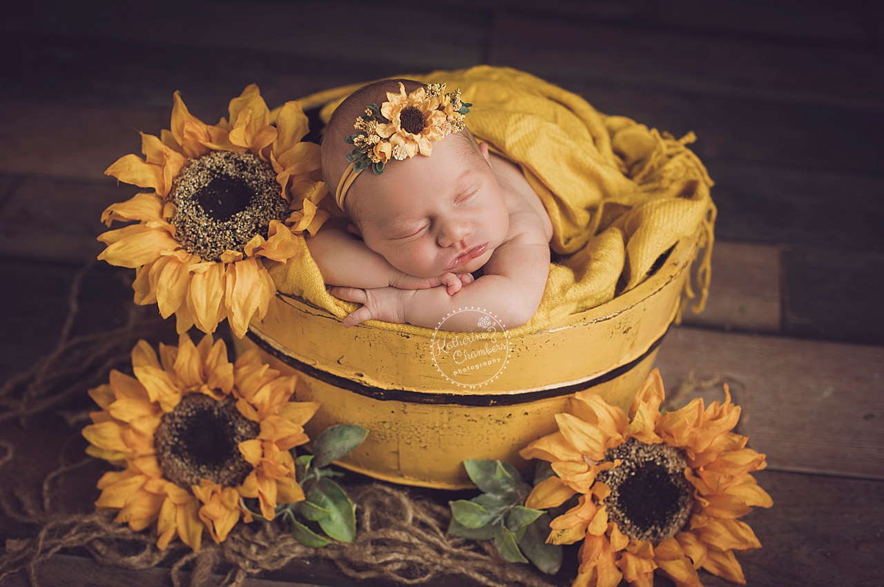Sunflower Newborn Photo