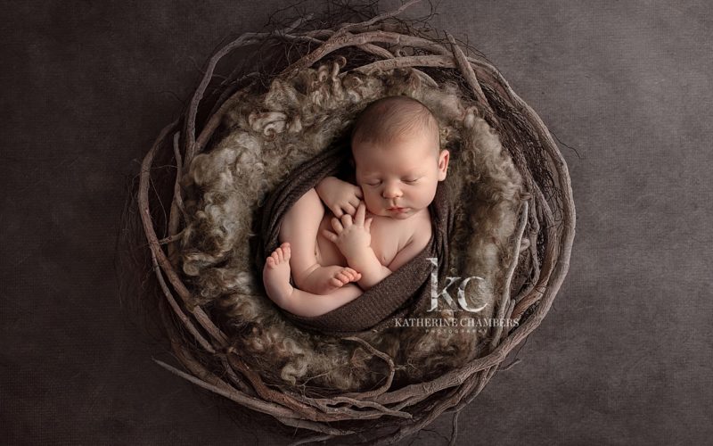 Westlake Newborn Photography | Baby in a Nest