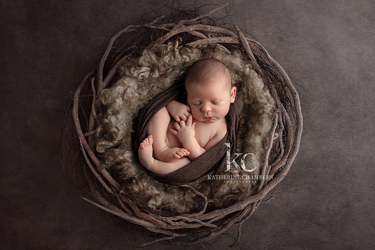 Westlake Newborn Photography | Baby in a Nest