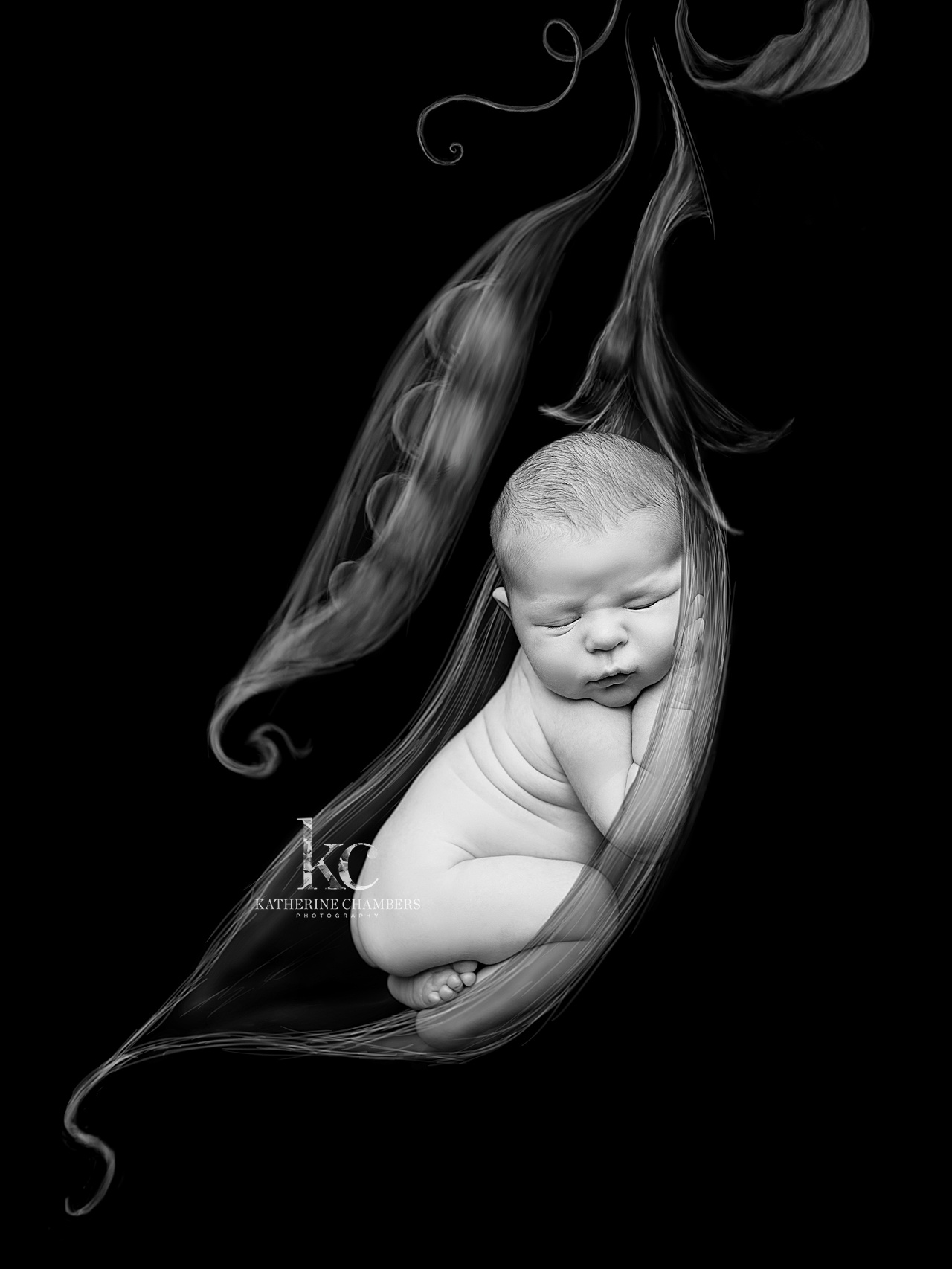 Black and White Newborn Portrait | Cleveland Newborn Photographer