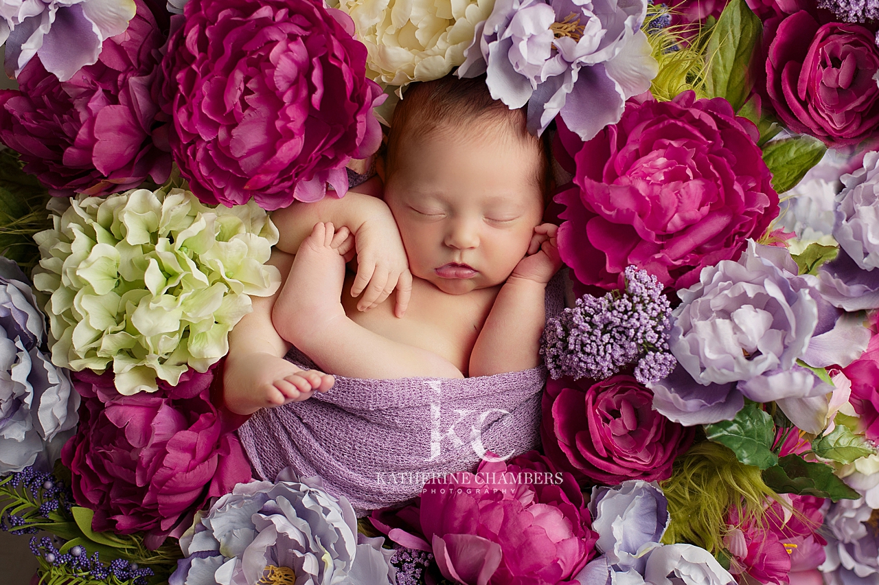 Floral Newborn Photography