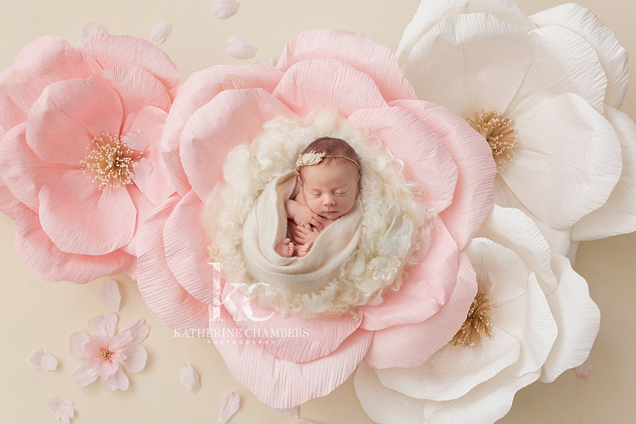 Newborn in flowers | Cleveland Newborn Photographer