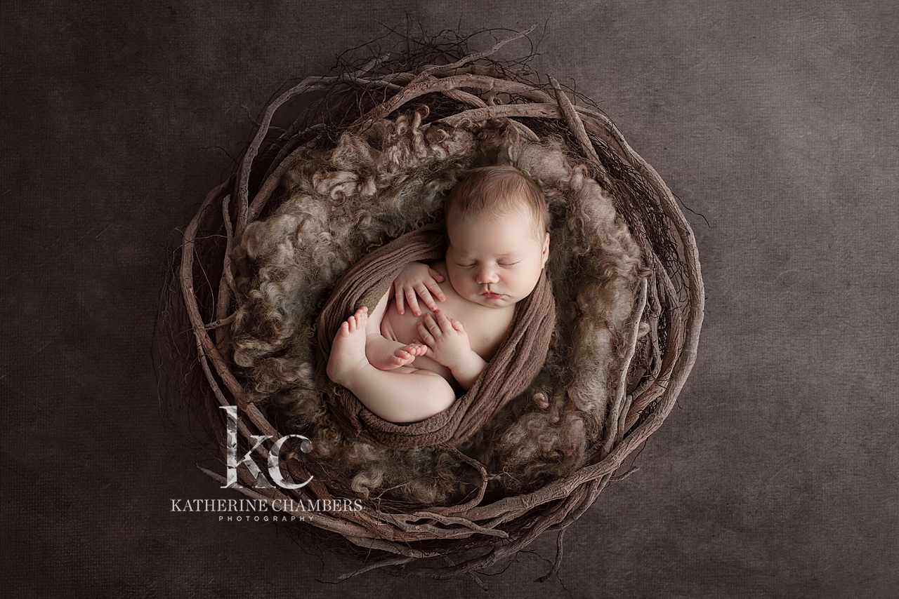 Newborn in a Nest | Westlake Baby Photo