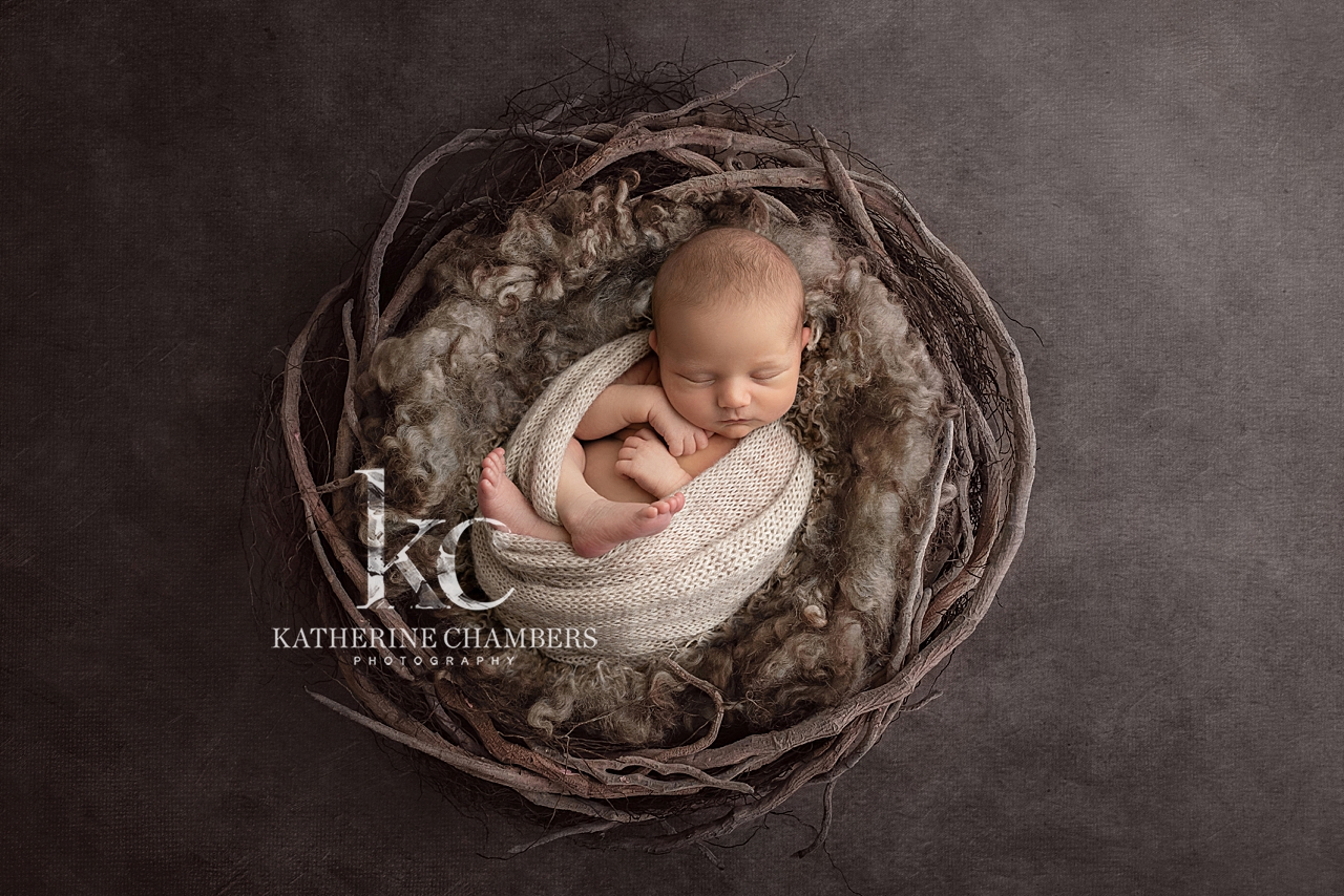 Newborn Photographer in Avon Ohio | Colson