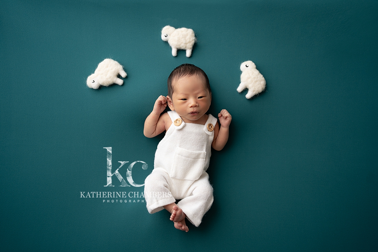 Avon Newborn Photography | Counting Sheep