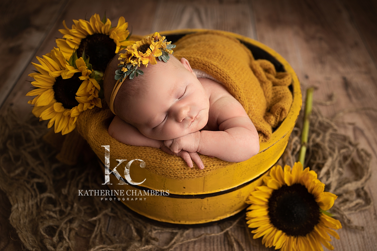 Newborn in Sunflowers | Avon Sunflower Field 
