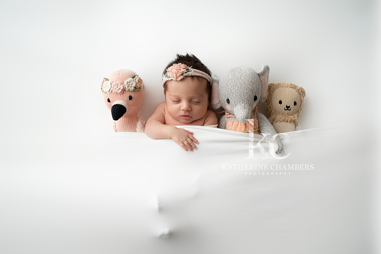 Cuddle and Kind lovies | Cleveland Newborn Photographer