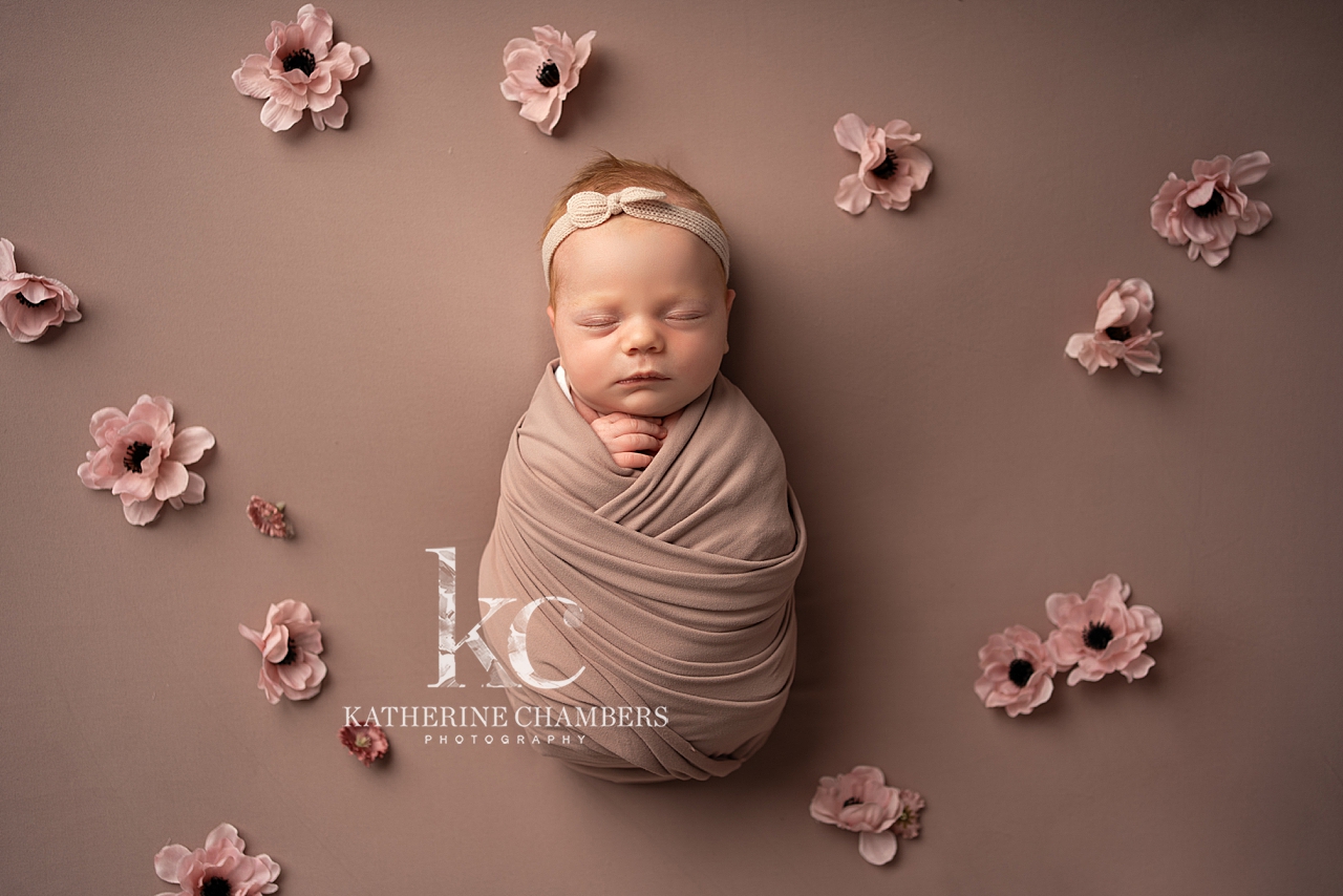 Cleveland Ohio Newborn Baby Photo Session