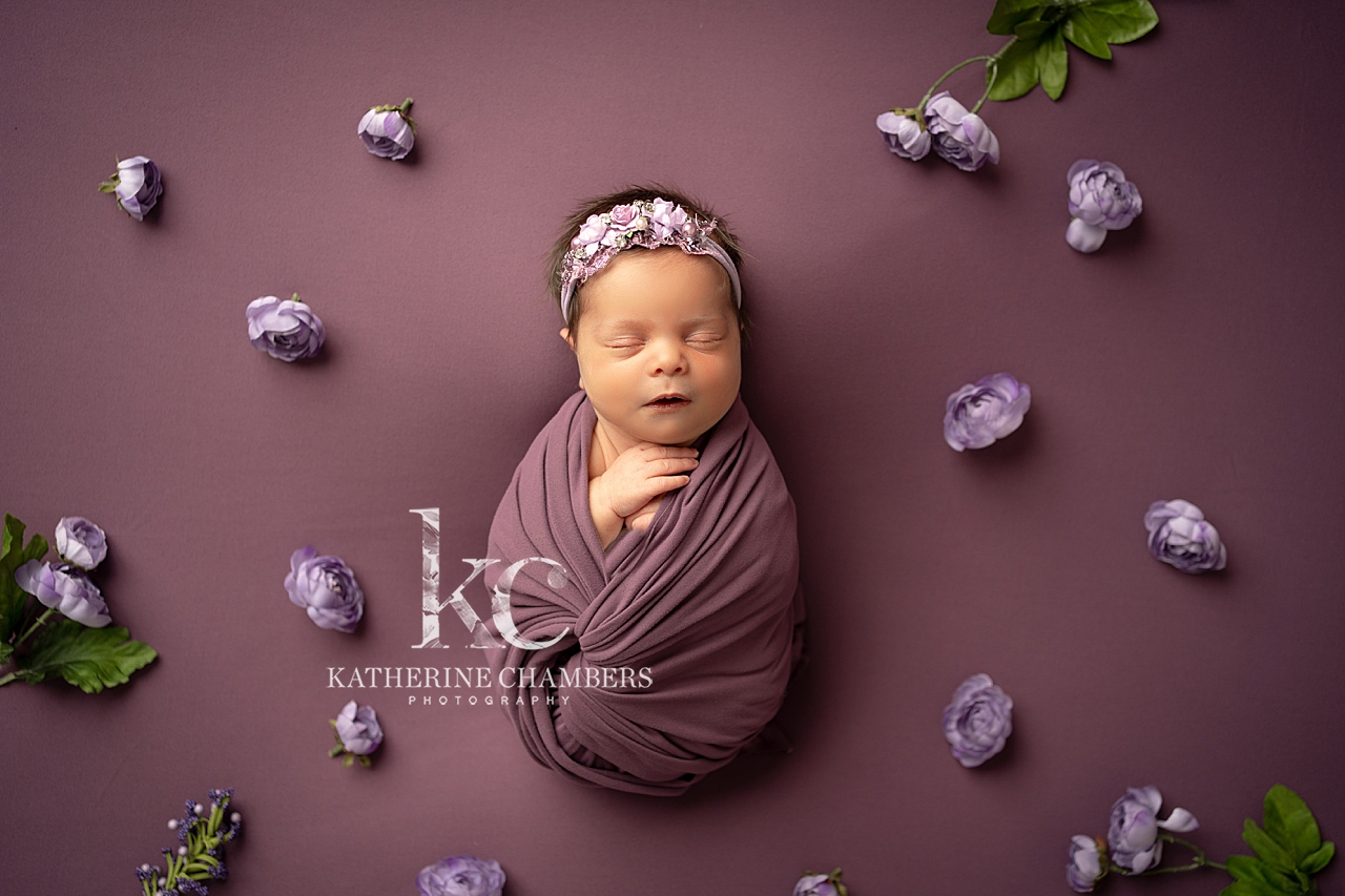 Cleveland Bump to Baby Photography